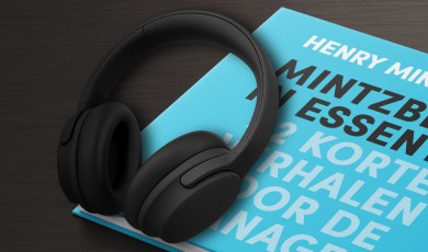 Mintzberg in essentie: 42 korte verhalen voor de manager